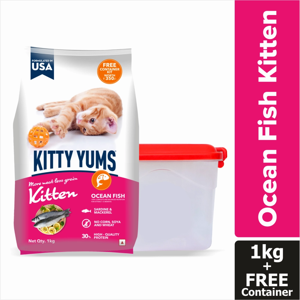 Kitty Yums Ocean Fish Kitten (1 to 12 Months) Cat Dry Food