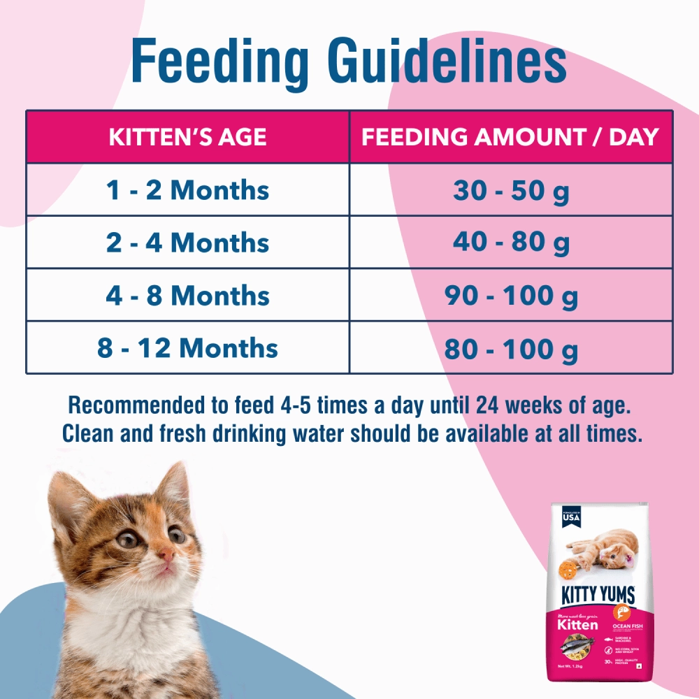Kitty Yums Ocean Fish Kitten (1 to 12 Months) Cat Dry Food