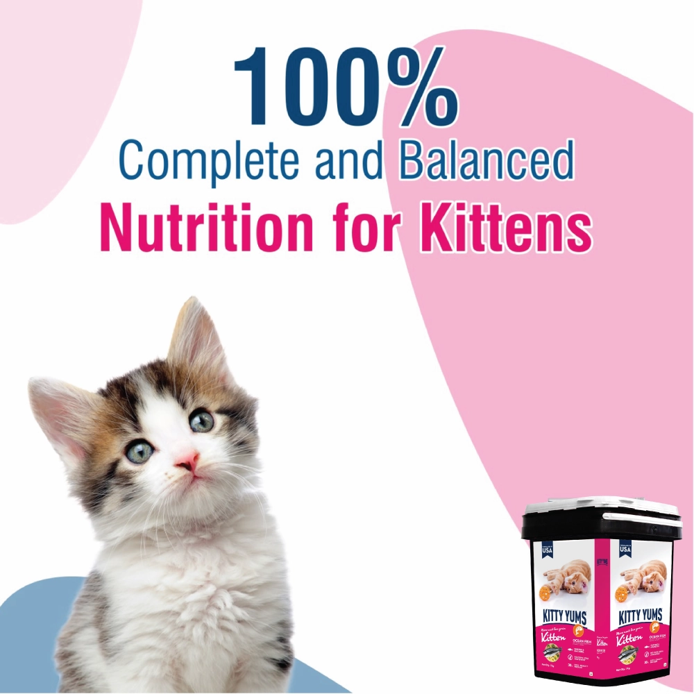 Kitty Yums Ocean Fish Kitten Dry Food, Me O Creamy Chicken Liver Cats Treats Combo