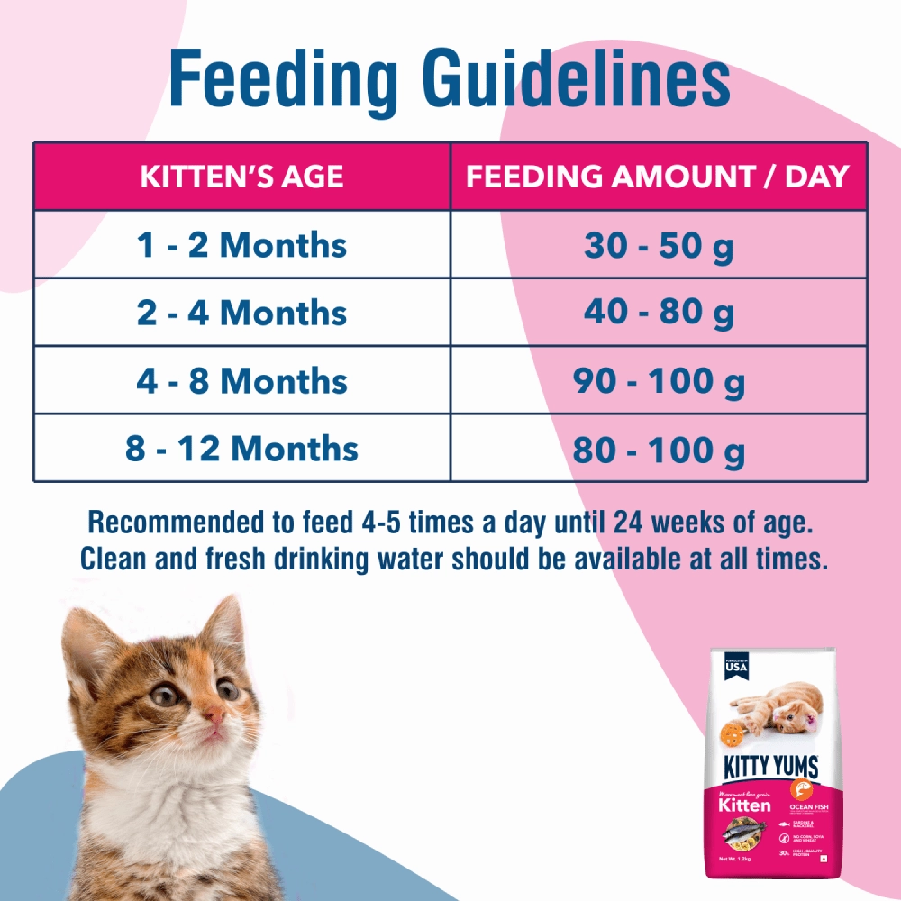 Kitty Yums Ocean Fish Kitten Dry Food, Me O Creamy Chicken Liver Cats Treats Combo