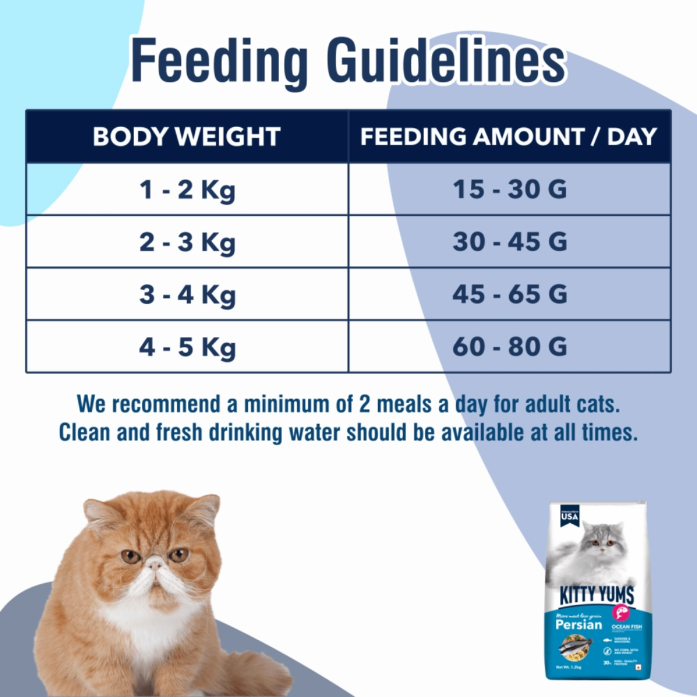 Kitty Yums Ocean Fish Persian Dry Food, Sheba Tuna Prawn Maguro Melty Premium Cats Treats Combo