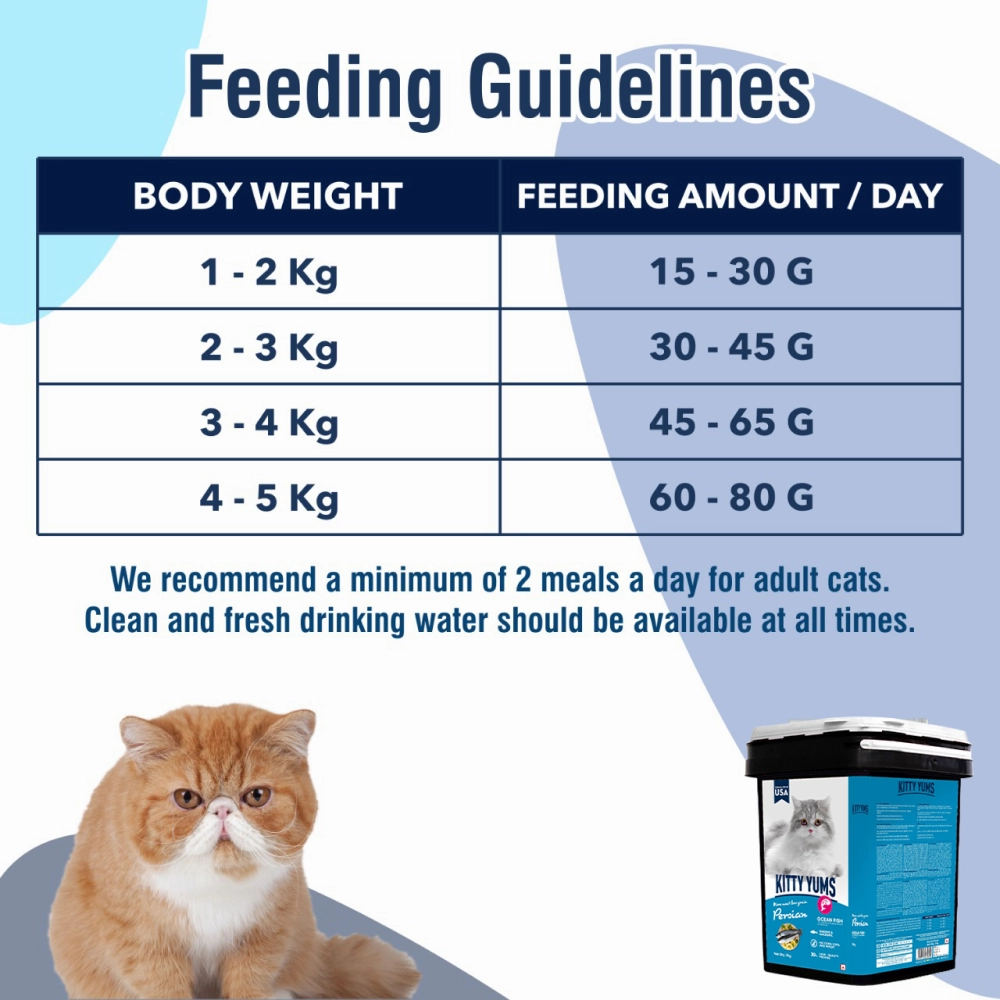 Kitty Yums Ocean Fish Persian Dry Food, Sheba Tuna Prawn Maguro Melty Premium Cats Treats Combo