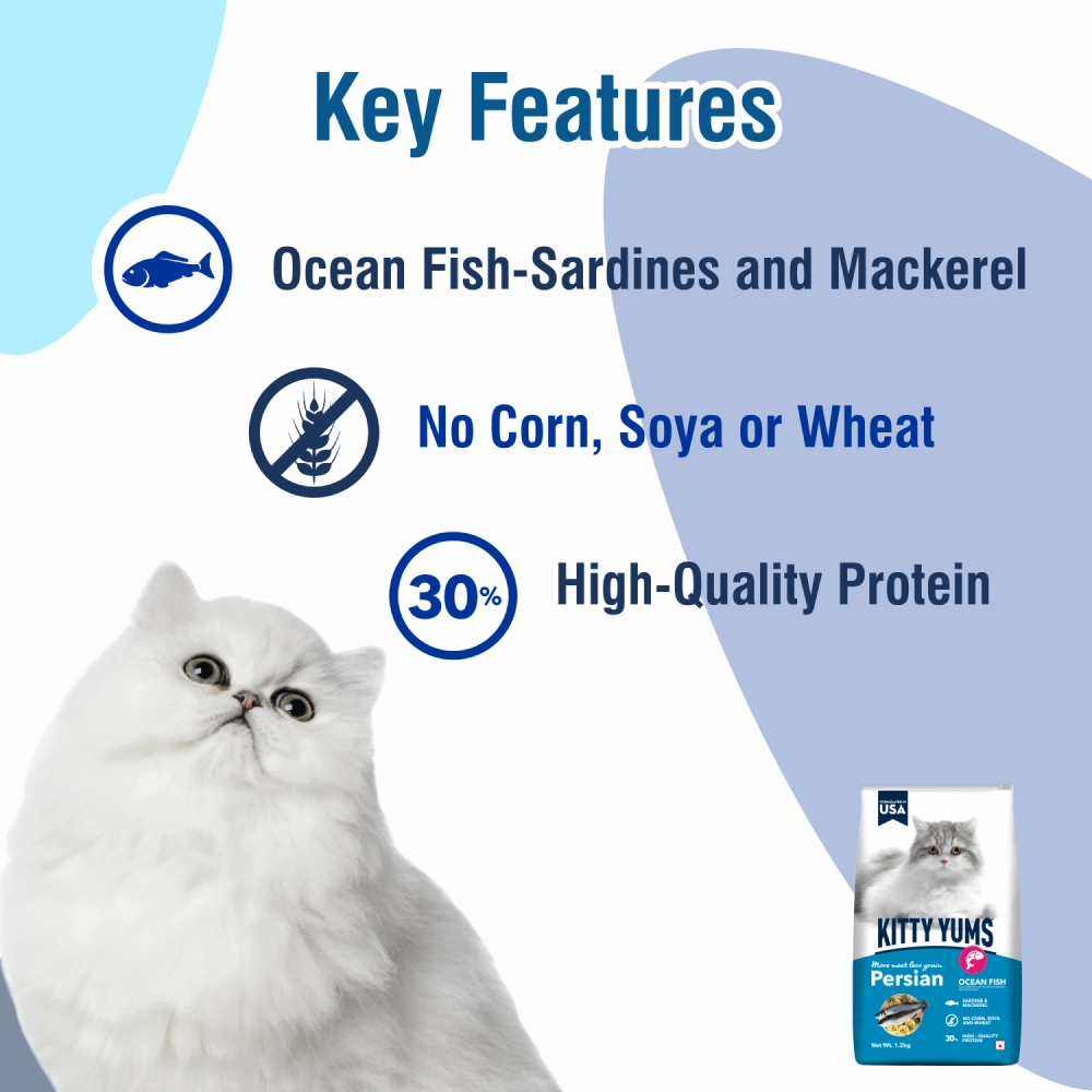 Kitty Yums Ocean Fish Persian Dry Food, Sheba Tuna Prawn Maguro Melty Premium Cats Treats Combo