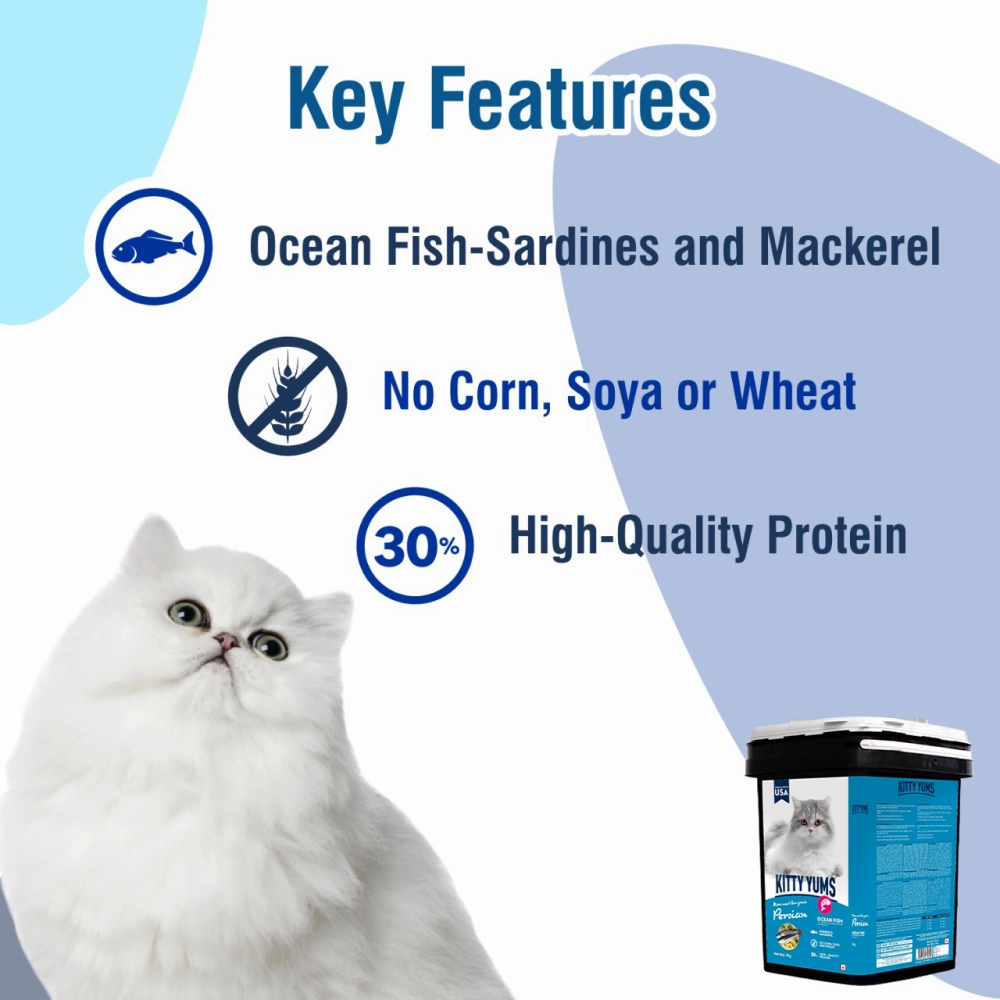Kitty Yums Ocean Fish Persian Dry Food, Sheba Tuna Prawn Maguro Melty Premium Cats Treats Combo