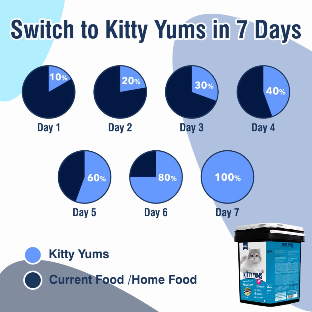 Kitty Yums Ocean Fish Persian Dry Food, Sheba Tuna Prawn Maguro Melty Premium Cats Treats Combo