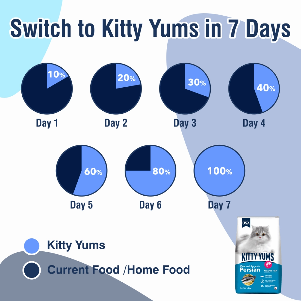 Kitty Yums Ocean Fish Persian Dry Food, Sheba Tuna Prawn Maguro Melty Premium Cats Treats Combo