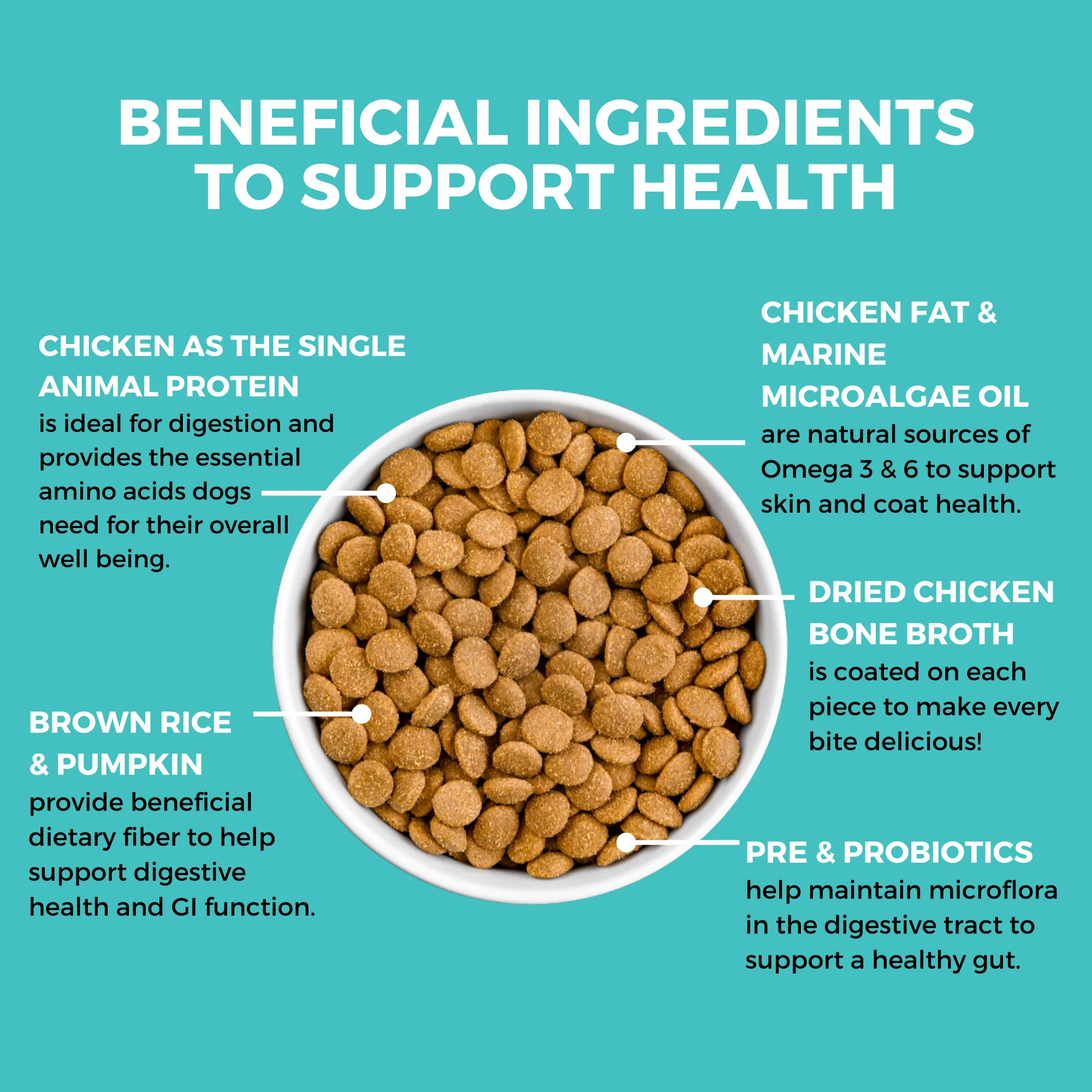KOHA Limited Ingredient Bland Diet Chicken & Brown Rice Recipe with Pumpkin Dry Dog Food