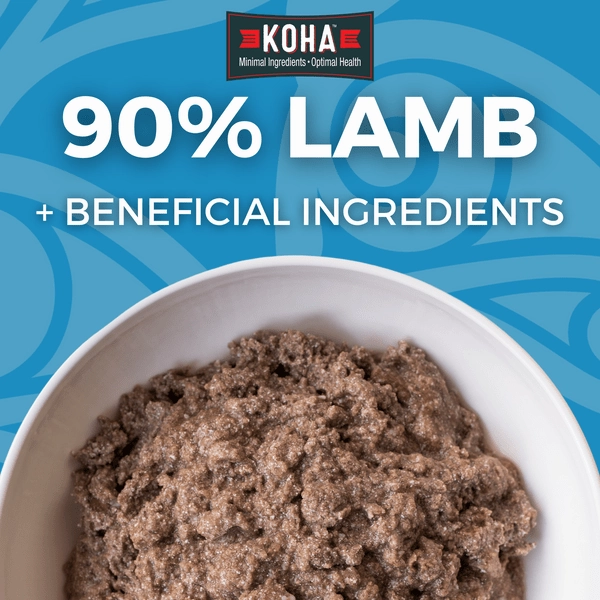 KOHA LID Lamb Entre Canned Dog Food