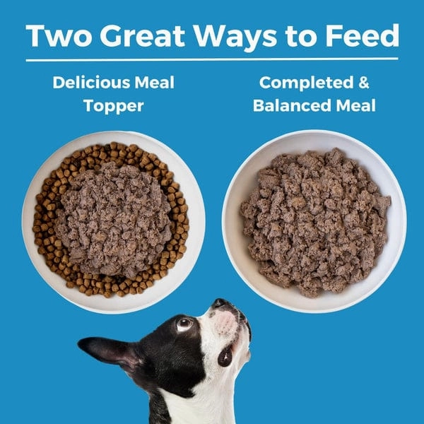 KOHA LID Lamb Entre Canned Dog Food