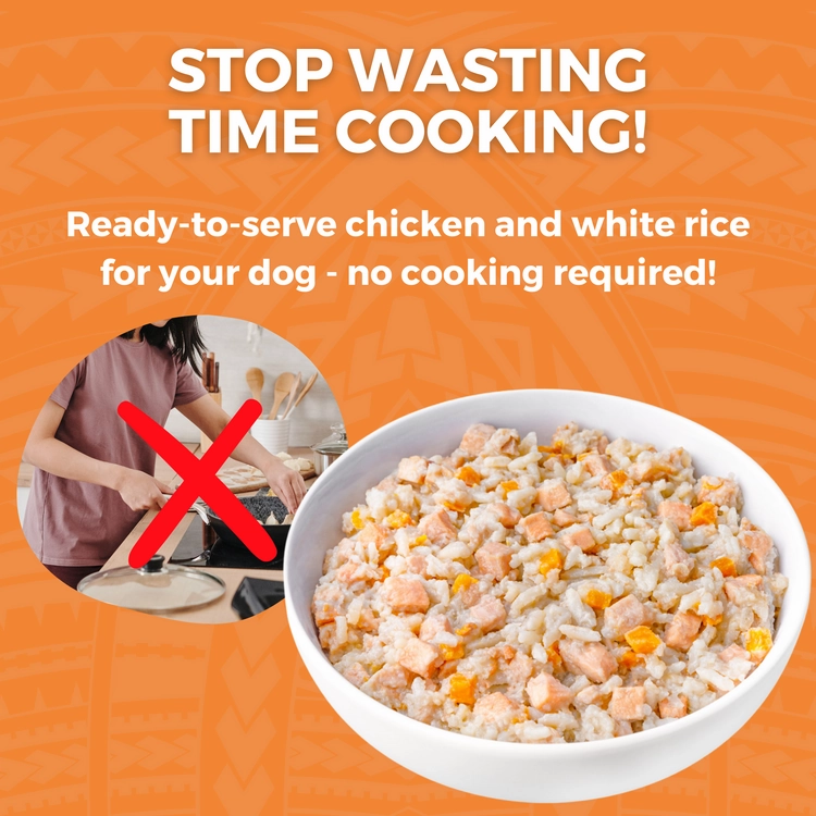 KOHA Limited Ingredient Bland Diet Chicken & White Rice Recipe Wet Dog Food Pouch