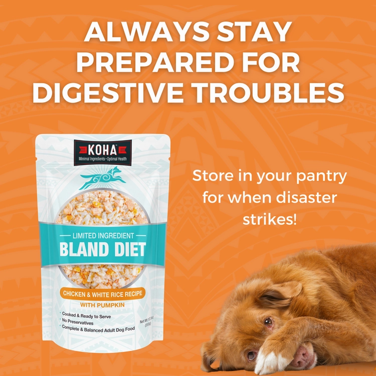 KOHA Limited Ingredient Bland Diet Chicken & White Rice Recipe Wet Dog Food Pouch