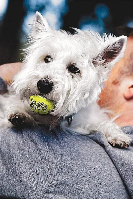 Kong SqueakAir Tennis Ball Dog Toys, 3 Pack