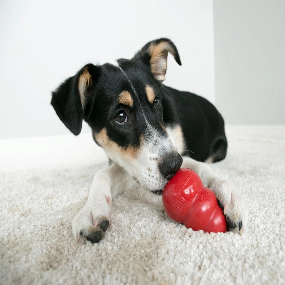 KONG - Classic Dog Toy (Large)