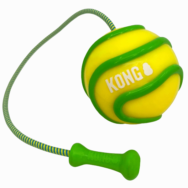 KONG Bunji High-Viz Ball Dog Toy