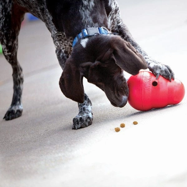 KONG Wobbler Treat Dispensing Dog Toy