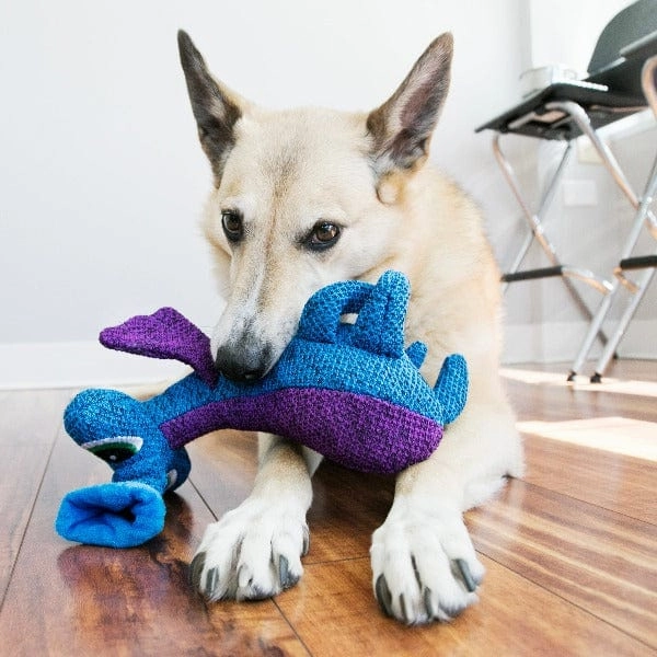 KONG Woozles Blue Dog Toy
