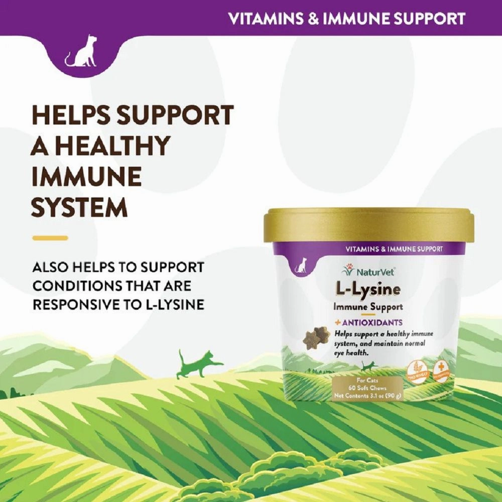 L-Lysine Plus Antioxidants Cat Soft Chews
