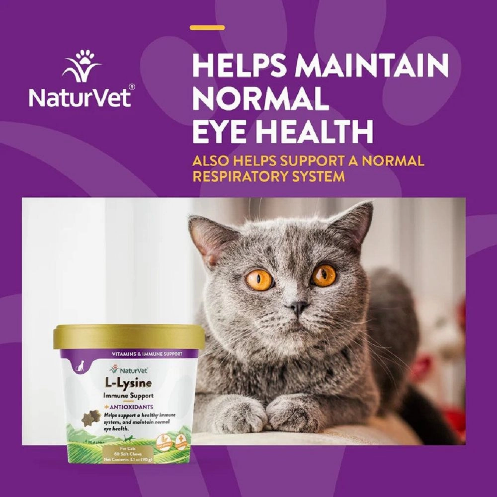 L-Lysine Plus Antioxidants Cat Soft Chews