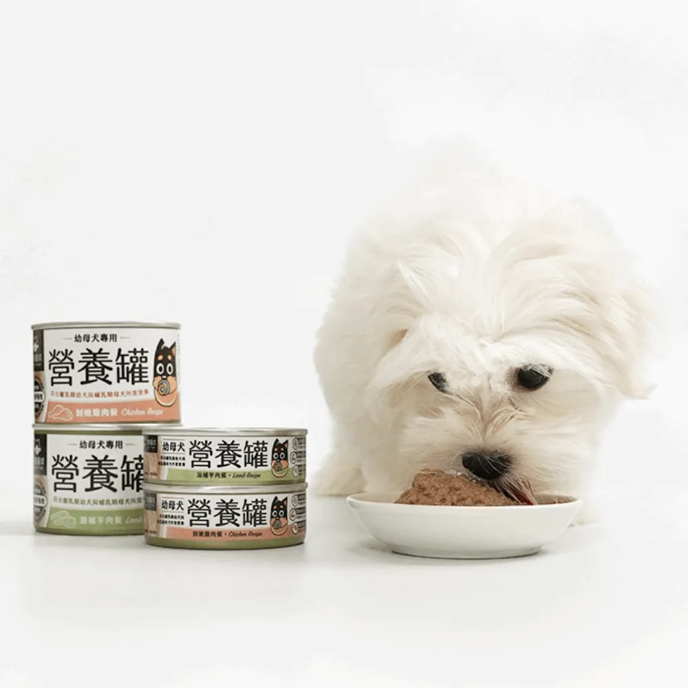 Lamb Complete Balanced Puppy Dog Can