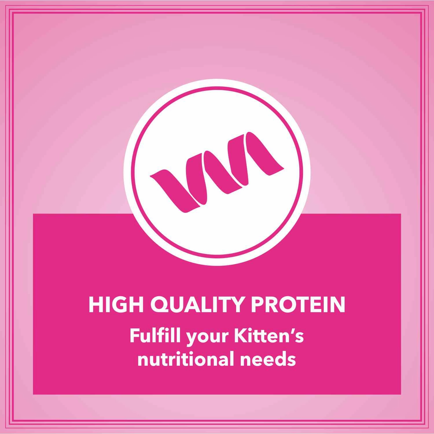 Let's Bite Active Kitten Ocean Fish Cat Dry Food (Buy 1 Get 1 Free)