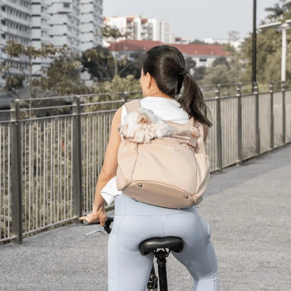 Lets Adventure Backpack