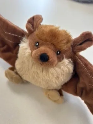 Lightning Dog Wing Dingers Fruit Bat Plush Dog Toy