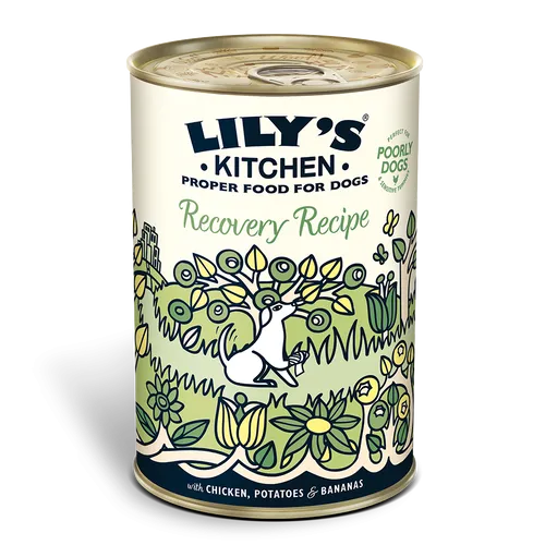 Lily's Kitchen - Wet Food For Dogs - Rest Up 400g