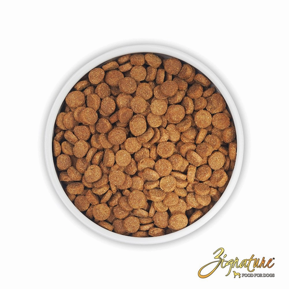 Limited Ingredient Salmon Dog Dry Food