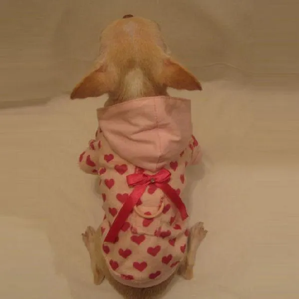 Little Lover Minky Dog Hoodie
