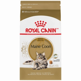 Maine Coon
