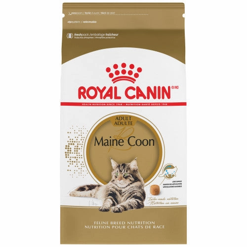 Maine Coon