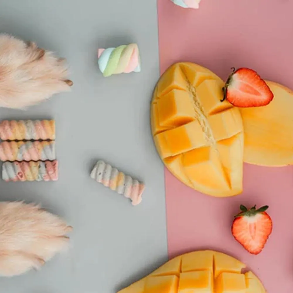 Marshmallow Swirl Freeze Dried Treats for Dogs and Cats