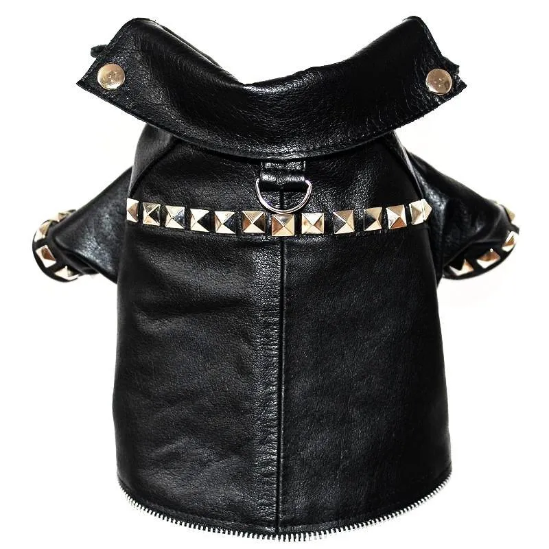 Megan Trainor Lips Are Movin Studded Leather Dog Coat