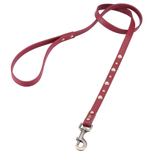 Mini Boho Red Leather Dog Leash