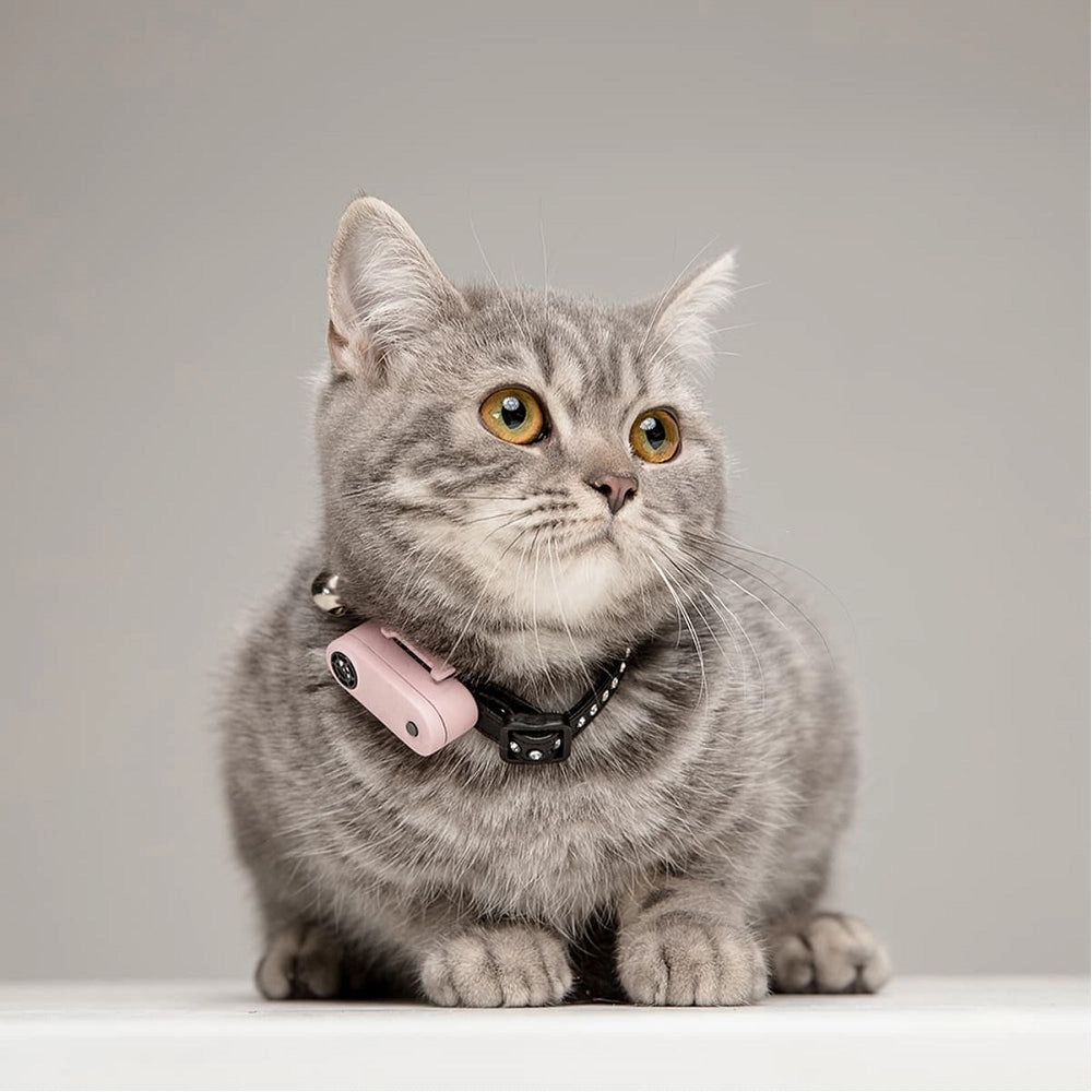 Mini Cat Ultrasound Tick & Flea Repeller