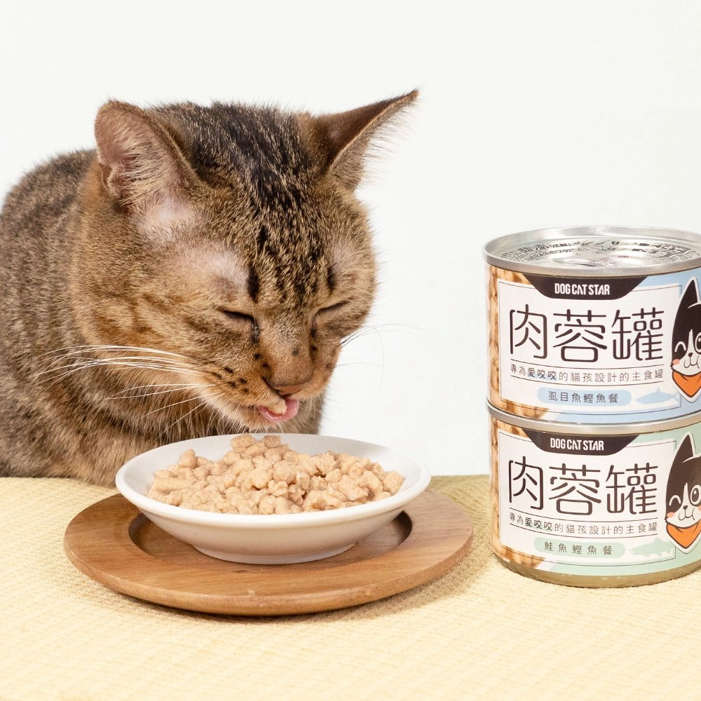 Mini-Meat-Ball - Salmon Complete Balanced Cat Can