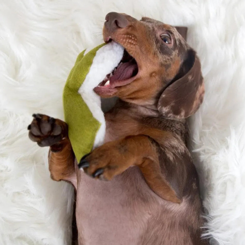 Mint Cactus Dog Toy