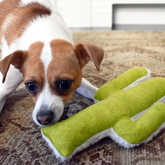 Mint Cactus Dog Toy