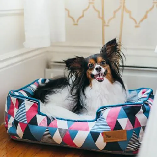 Mosaic Lounge Dog Bed Soda Pop