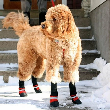 Muttluks Fleece Lined Dog Boots