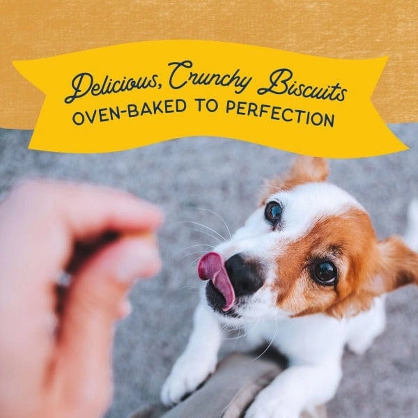 Natural Balance Crunchy Biscuits With Real Duck Small Breed Recipe, 8oz