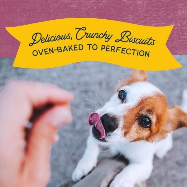 Natural Balance Crunchy Biscuits With Real Venison Small Breed Recipe, 8oz