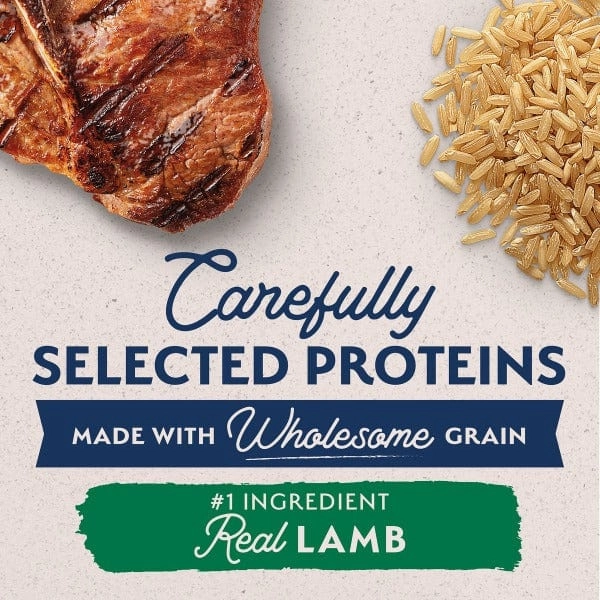 Natural Balance Limited Ingredient Lamb & Brown Rice Large Breed Recipe Dry Dog Food, 26lb