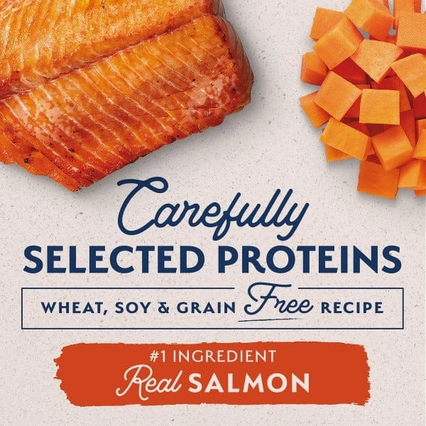 Natural Balance Limited Ingredient Salmon & Sweet Potato Small Breed Recipe Dry Dog Food