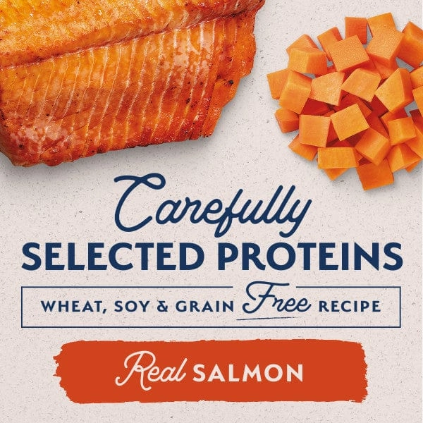 Natural Balance Limited Ingredient Sweet Potato & Salmon Recipe Canned Dog Food