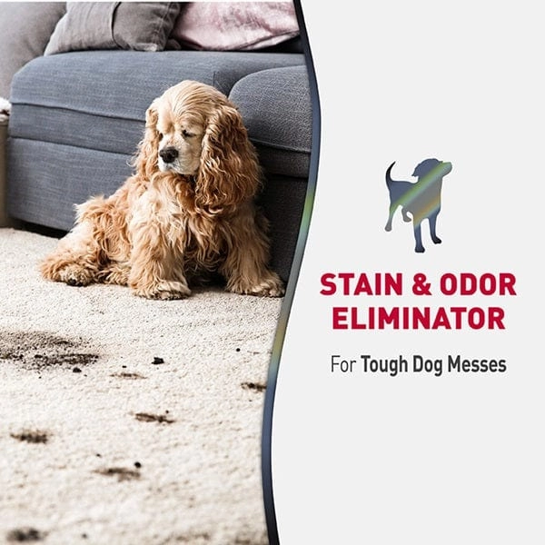 Nature's Miracle Advanced Stain & Odor Eliminator for Dogs