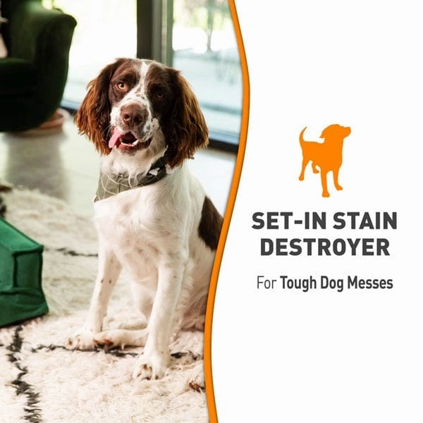 Nature's Miracle Oxy Formula Set-in Stain Destroyer for Dogs