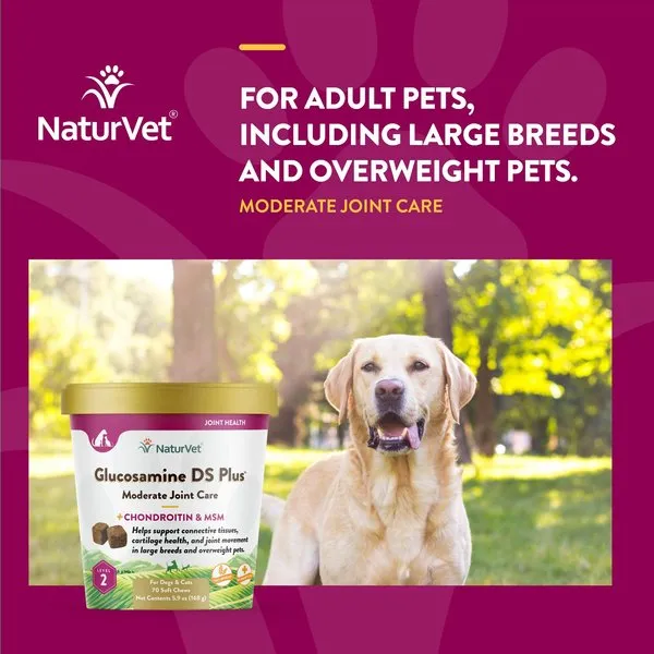 NaturVet Glucosamine DS Plus MSM Level 2 Moderate Care Soft Chews for Dogs