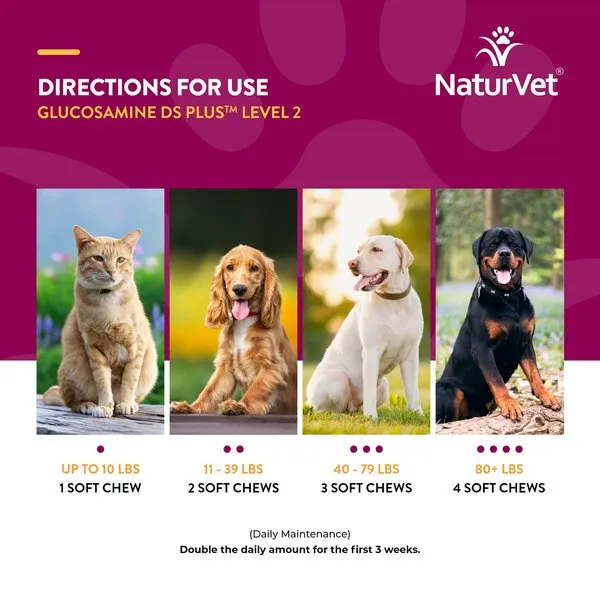NaturVet Glucosamine DS Plus MSM Level 2 Moderate Care Soft Chews for Dogs
