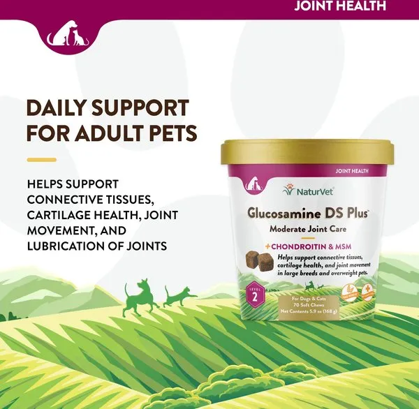 NaturVet Glucosamine DS Plus MSM Level 2 Moderate Care Soft Chews for Dogs